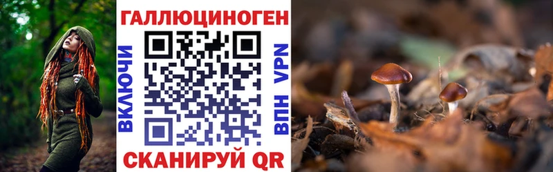цена наркотик  Смоленск  Псилоцибиновые грибы Psilocybine cubensis 